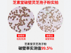 灵芝孢子粉治甲亢吗？看了你就知道为何甲亢的人都在吃了！