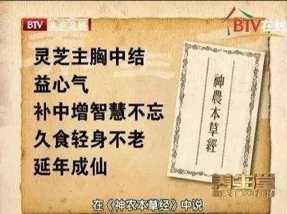 灵芝孢子粉的功效与食用方法！不会吃等于白吃！
