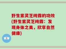 野生紫灵芝纯露的功效(野生紫灵芝纯露：发现身体之美，欣享自然健康)