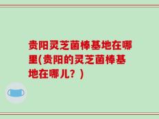 贵阳灵芝菌棒基地在哪里(贵阳的灵芝菌棒基地在哪儿？)