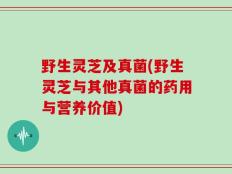 野生灵芝及真菌(野生灵芝与其他真菌的药用与营养价值)