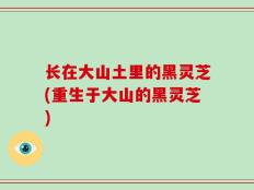 长在大山土里的黑灵芝(重生于大山的黑灵芝)