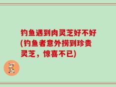 钓鱼遇到肉灵芝好不好(钓鱼者意外捞到珍贵灵芝，惊喜不已)