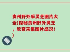 贵州野外采灵芝图片大全(探秘贵州野外灵芝，欣赏采集图片盛况！)