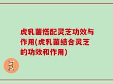 虎乳菌搭配灵芝功效与作用(虎乳菌结合灵芝的功效和作用)