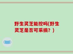 野生灵芝能挖吗(野生灵芝是否可采摘？)