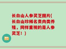 长白山人参灵芝图片(长白山珍稀名贵肉类养殖，同样重视的是人参灵芝！)