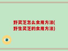 野灵芝怎么食用方法(野生灵芝的食用方法)