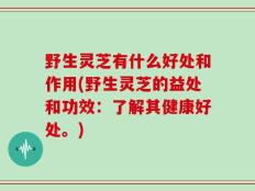 野生灵芝有什么好处和作用(野生灵芝的益处和功效：了解其健康好处。)