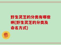 野生灵芝的分类有哪些啊(野生灵芝的分类及命名方式)
