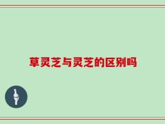 草灵芝与灵芝的区别吗