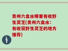 贵州六盘水哪里有收野生灵芝(贵州六盘水：有收获野生灵芝的地方推荐)