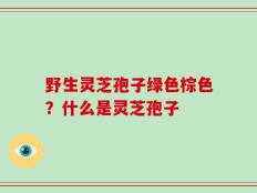 野生灵芝孢子绿色棕色？什么是灵芝孢子