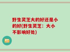 野生灵芝大的好还是小的好(野生灵芝：大小不影响好处)