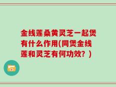 金线莲桑黄灵芝一起煲有什么作用(同煲金线莲和灵芝有何功效？)