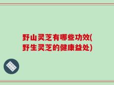 野山灵芝有哪些功效(野生灵芝的健康益处)
