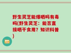 野生灵芝能爆晒吗有毒吗(野生灵芝：能否直接晒干食用？知识科普)