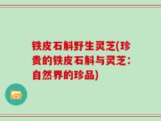铁皮石斛野生灵芝(珍贵的铁皮石斛与灵芝：自然界的珍品)