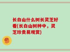 长白山什么树长灵芝好看(长白山树种中，灵芝珍贵易观赏)