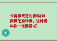 长得像灵芝的香料(如同灵芝般珍贵，这种香料你一定要尝试)