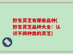 野生灵芝有那些品种(野生灵芝品种大全：认识不同种类的灵芝)