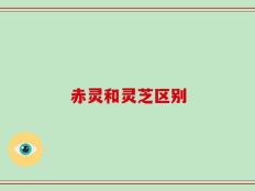 赤灵和灵芝区别