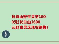 长白山野生灵芝1600元(长白山1600元野生灵芝现货销售)