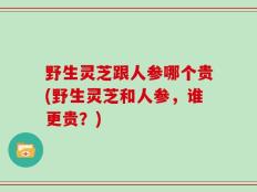 野生灵芝跟人参哪个贵(野生灵芝和人参，谁更贵？)