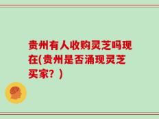 贵州有人收购灵芝吗现在(贵州是否涌现灵芝买家？)