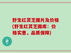 野生红灵芝图片及价格(野生红灵芝图库：价格实惠，品质保障)