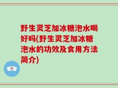 野生灵芝加冰糖泡水喝好吗(野生灵芝加冰糖泡水的功效及食用方法简介)
