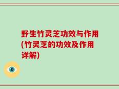 野生竹灵芝功效与作用(竹灵芝的功效及作用详解)