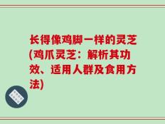 长得像鸡脚一样的灵芝(鸡爪灵芝：解析其功效、适用人群及食用方法)