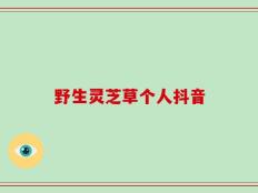 野生灵芝草个人抖音