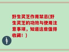 野生灵芝作用禁忌(野生灵芝的功效与使用注意事项，知道这些值得收藏！)