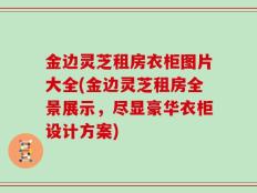 金边灵芝租房衣柜图片大全(金边灵芝租房全景展示，尽显豪华衣柜设计方案)