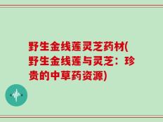 野生金线莲灵芝药材(野生金线莲与灵芝：珍贵的中草药资源)