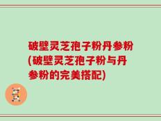 破壁灵芝孢子粉丹参粉(破壁灵芝孢子粉与丹参粉的完美搭配)