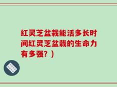 红灵芝盆栽能活多长时间红灵芝盆栽的生命力有多强？)