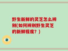 野生新鲜的灵芝怎么辨别(如何辨别野生灵芝的新鲜程度？)