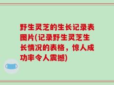 野生灵芝的生长记录表图片(记录野生灵芝生长情况的表格，惊人成功率令人震撼)