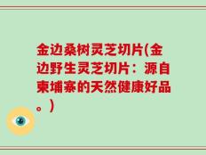 金边桑树灵芝切片(金边野生灵芝切片：源自柬埔寨的天然健康好品。)