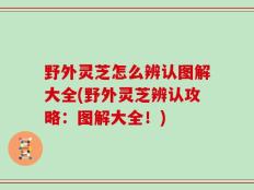 野外灵芝怎么辨认图解大全(野外灵芝辨认攻略：图解大全！)