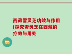 西藏雪灵芝功效与作用(探究雪灵芝在西藏的疗效与用处