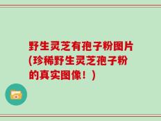 野生灵芝有孢子粉图片(珍稀野生灵芝孢子粉的真实图像！)