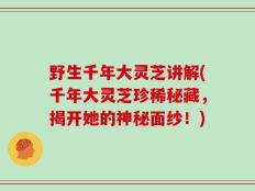 野生千年大灵芝讲解(千年大灵芝珍稀秘藏，揭开她的神秘面纱！)