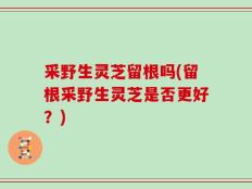 采野生灵芝留根吗(留根采野生灵芝是否更好？)
