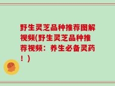 野生灵芝品种推荐图解视频(野生灵芝品种推荐视频：养生必备灵药！)