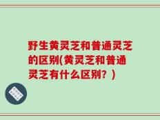 野生黄灵芝和普通灵芝的区别(黄灵芝和普通灵芝有什么区别？)