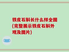 铁皮石斛长什么样全图(完整展示铁皮石斛外观及图片)